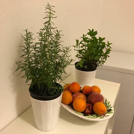 Menta & Rosmarino Guest House- Centro La Spezia