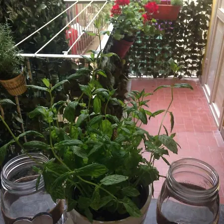 Menta & Rosmarino Guest House- Centro * 斯培西亚